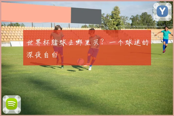 世界杯赌球去哪里买？一个球迷的深夜自白