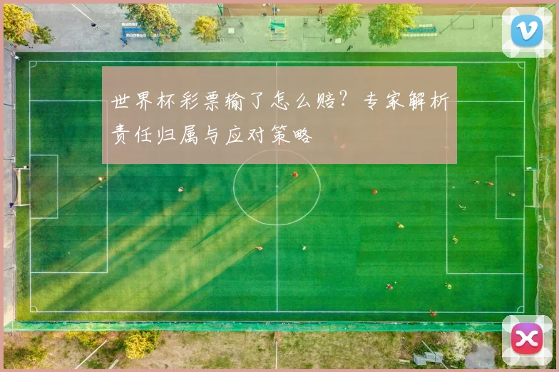 世界杯彩票输了怎么赔？专家解析责任归属与应对策略