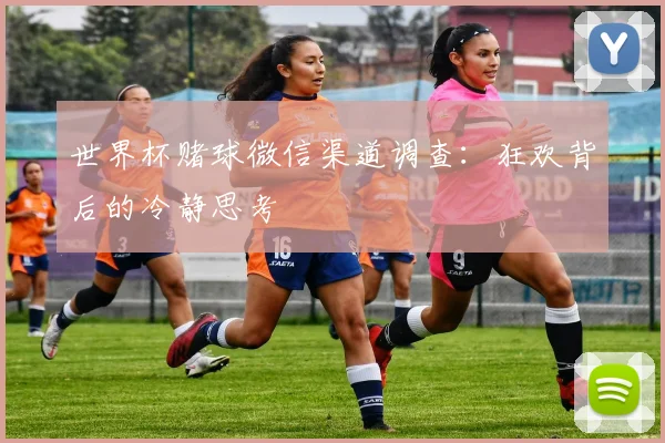 世界杯赌球微信渠道调查:狂欢背后的冷静思考