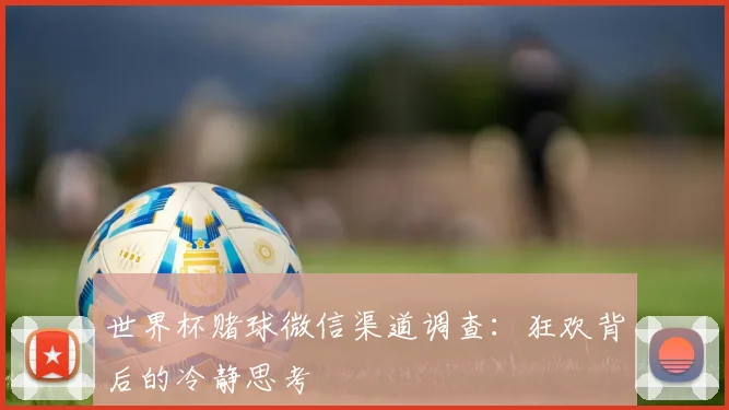 世界杯赌球微信渠道调查：狂欢背后的冷静思考