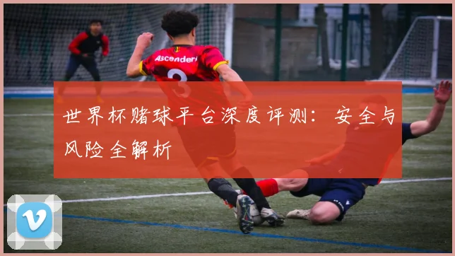 世界杯赌球平台深度评测:安全与风险全解析