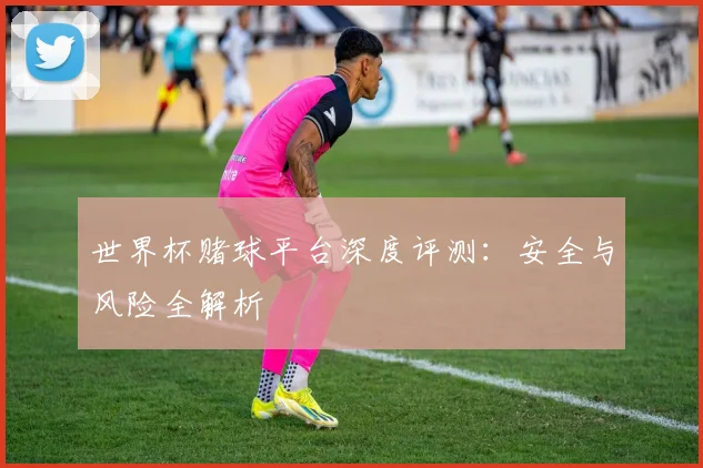 世界杯赌球平台深度评测：安全与风险全解析
