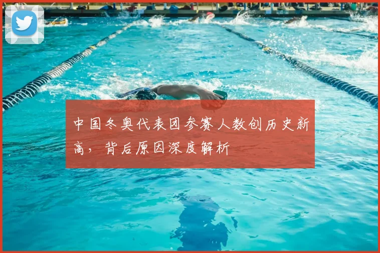 中国冬奥代表团参赛人数创历史新高，背后原因深度解析