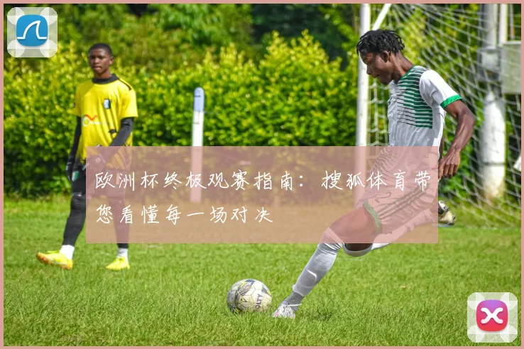 欧洲杯终极观赛指南：搜狐体育带您看懂每一场对决