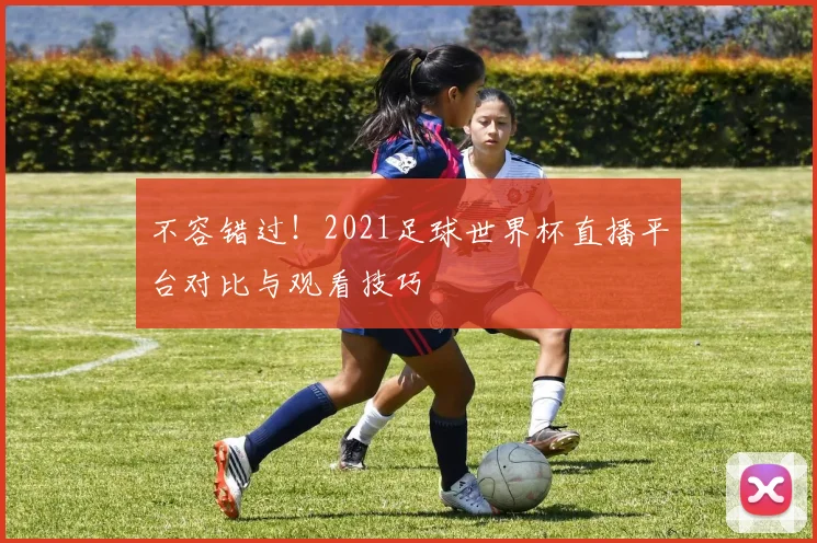不容错过！2021足球世界杯直播平台对比与观看技巧