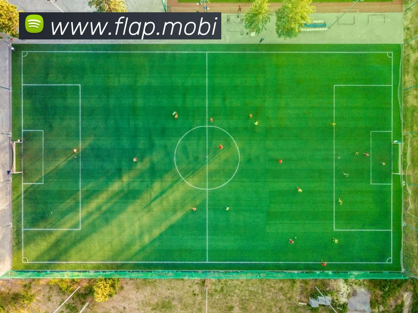 环球体育平台生态图